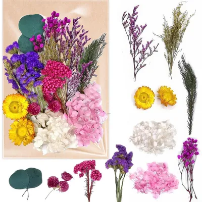 Immagine prodotto di Set di fiori secchi color viola per artigianato e decorazioni