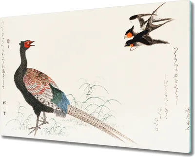 Produktbild von Coloray Küchenbrett Kochplattenabdeckung Hackbrett Schneidebrett Herdabdeckplatte 80x52 cm - Asien Tier Vögel