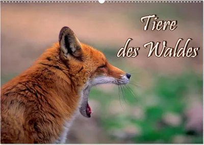 Produktbild von Tiere des Waldes (Wandkalender 2025 DIN A2 quer), CALVENDO Monatskalender