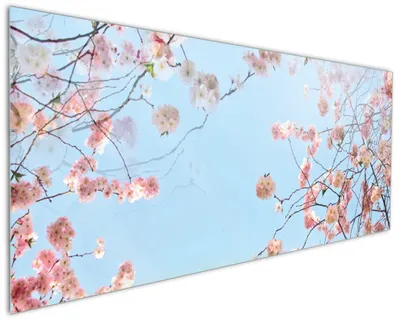 Produktbild von Wallario Küchenrückwand aus Glas, Größe: 125 x 50 cm, Motiv: Kirschblütenzweige und grüne Wiese- Frühling | Spritzschutz | abwischbar | pflegeleicht | in