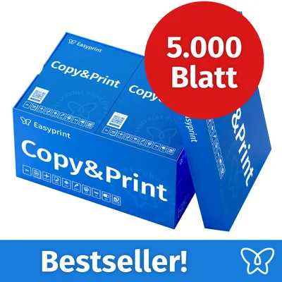 Produktbild von Easyprint Druckerpapier Kopierpapier 5000 Blatt 10 x 500 A4 Premium Hochweiß CIE 160 PEFC