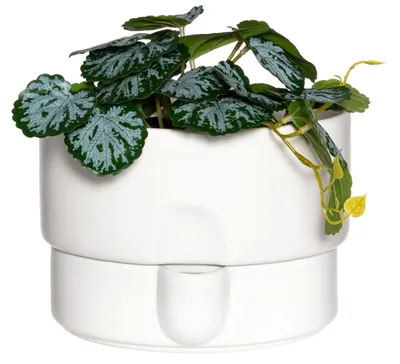 Produktbild von Blumentopf mit Bewässerungssystem, Ø 21 cm