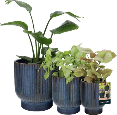 Three ceramic planters with different sizes of plants in them, set against a white background. A small marketing image is visible on the rightmost planter.