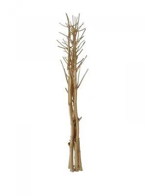 Imagen del producto de EUROPALMS, manojo de hinojos secos, color dorado, 160 cm (83502363)