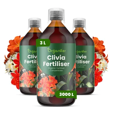 Obrázek produktu pro Clivia Tekuté Hnojivo 3x1 L – 3-4-3 NPK – Pro Kvetoucí Rostliny – Pro Zdravé Listy & Bujné Květy – Podporuje Kořeny & Vitalitu – Organifer