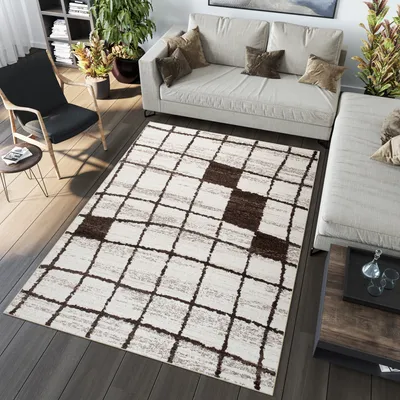 Image de Tapis Salon Chambre à coucher Modernes Chinés Design Crème Marron OEKOTEX 80 x 150 cm