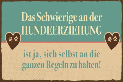 Produktbild von vianmo Holzschild 20x30 cm Hundeerziehungsregeln