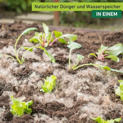 Produktbild von Schafwoll-Noppen als Dünger, 200g
