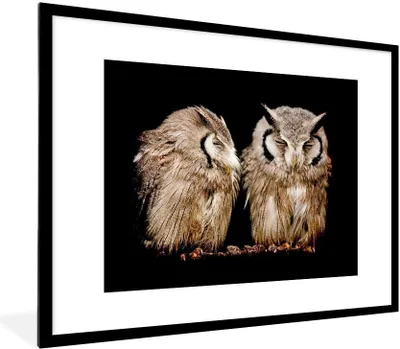 Produktbild von MuchoWow® Gerahmtes Poster Eule - Vogel - Schwarz 80x60 cm - Poster mit Schwarzem Bilderrahmen Wandposter Rahmen Foto Bilder - Schlafzimmer-Dekorationen - Fotoposter