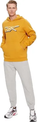 Image de Sweat à capuche Reebok IN1692-100071362 pour Homme