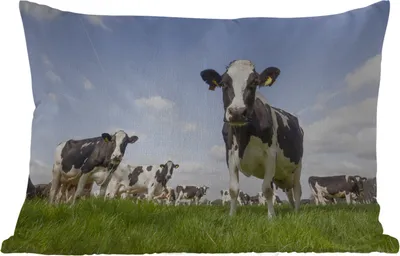 Produktbild von MuchoWow® Outdoor Kissen - Kühe - Gras - Tiere - Sonne - Bauernhof - 60x40 cm - Wetterfest - Lounge Kissen - Zierkissen - Kissen für Innenräume