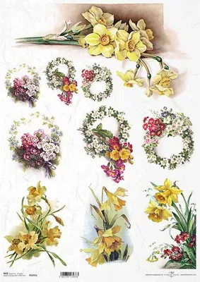 Zdjęcie produktu dla Papier ryżowy do decoupage A3 ITD-1031L żonkile, wiosenne kwiaty, prymulki