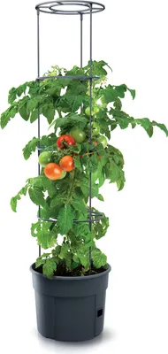 Produktbild von 4x Tomatenpflanze Pflanzkübel Pflanzen Tomate 12L Garten Terrasse PAFEN