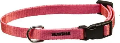 Obrázok produktu pre Obojok puppy nylon rozlišovacia-ružový s čiernou prackou BAFPET 1,00 x 18-26 cm