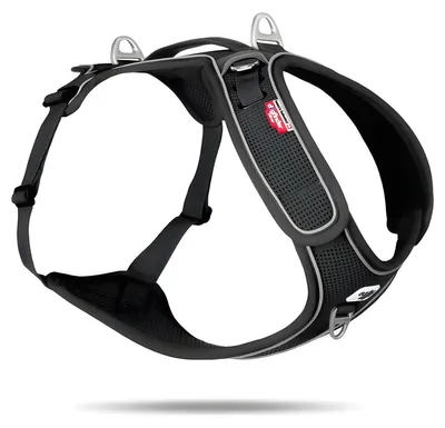 Produktbild von Curli Belka Geschirr Adjustable Neck Black