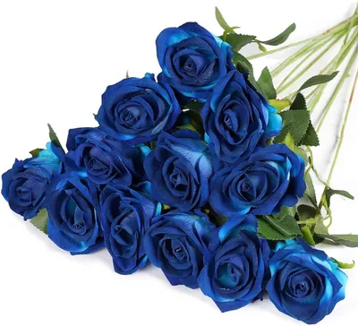 Produktbild von Pack von 12 Kunstblumen, Seidenrosen, Verstellbare Stiele, 51 x 7 cm, für Hochzeit