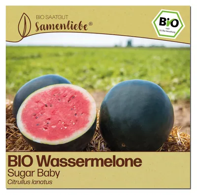 Produktbild von Samenliebe  Melone Samen | Sugar Baby - rot & sehr süß & klein - samenfestes  Saatgut