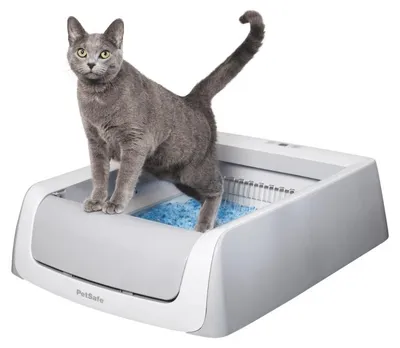 Produktbild von PetSafe ScoopFree – Selbstreinigende Katzentoilette mit Deckel
