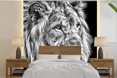 Obrázek produktu pro MuchoWow® Fototapety do obývacího pokoje nebo ložnice tapety vinylové motivy tapety Portrét - Lev - Černobílý 240x240cm