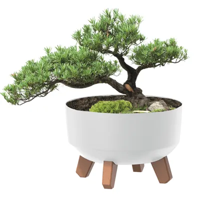 Image de Pot de fleurs rond, bol blanc mat, 37,9 cm, hauteur 19,5 cm, capacité 14,3 l, sur pieds avec insert pour une hydratation optimale - décoration parfaite pour votre maison, votre jardin ou votre