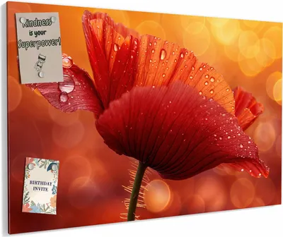 Produktbild von Magnettafel 90 x 60 cm „Mohn mit Tautropfen“ – Magnetwand aus Metall, beschreibbar mit Whiteboard-Marker – Memoboard für Küche & Büro