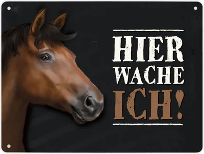 Produktbild von Hier wache ich! Metallschild XL mit Pferd Motiv Schild Blechschild