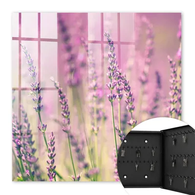 Produktbild von Metall Schlüsselkasten 30 x 30 cm - schwarzer Schlüsselschrank zur Wandmontage - wandhängende Schlüsselbox mit Tür - rechts öffnend - Schlüsselaufbewahrung für Flur - Büro - Arbeitszimmer - Werkstatt - Garage - Lila Garten