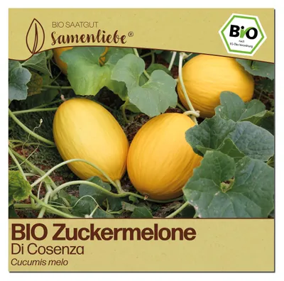Produktbild von Samenliebe  Melone Samen | Di Cosenza - süß - samenfestes  Saatgut