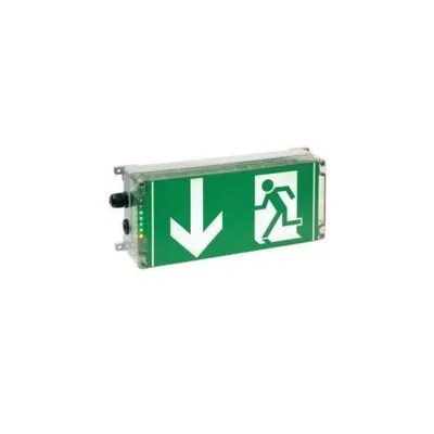 Produktbild von Ceag Sicherheitst. Ex-Rettungszeichenleuchte Pfeil unten 1 2191 030 003