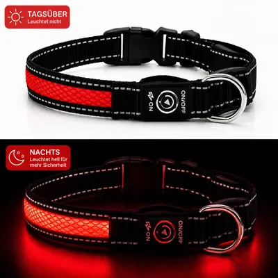 Produktbild von Premium LED Hundehalsband USB aufladbar reflektierend Leuchthalsband verstellbar S–L für Hunde Nacht Sicherheit inkl. Ladekabel Gr. S (35cm) - ROT, KI-generiertes Bild