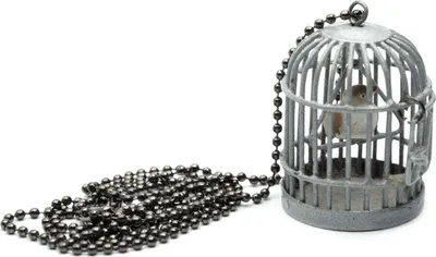 Produktbild von Vogelkäfig Kette Halskette Miniblings 80cm Vogel Vogelkette Käfig silber