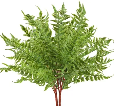 Produktbild von 2pcs Künstliche Pflanzen Kunstpflanzen Frühling Plastikpflanzen Künstliche Grünpflanzen Unechte Pflanzen für Drinnen Draußen Balkon Garten Topf Hochzeit Dekoration Grün