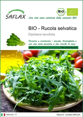 Immagine prodotto di SAFLAX  -- Rucola selvatica - 1500 semi - Diplotaxis