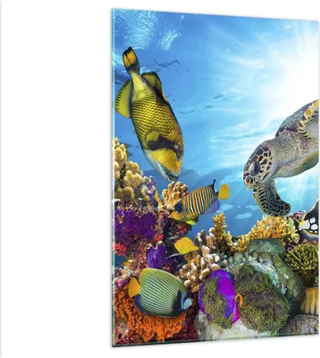 Produktbild von Bilder auf glas - Einteilig - Riff Koralle Fisch - 80x120cm - Glasbilder - Wandbilder - Bilder - zum Aufhängen bereit - Wanddekoration aus Glas - Glas Bilder - Wandbild auf Glas - GPA80x120-3704