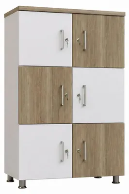 Produktbild von Schrank im modernen Design mit Holz- und Weiß-Elementen für Räume