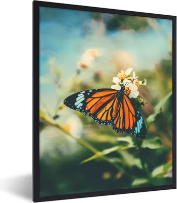 Produktbild von MuchoWow® Gerahmtes Poster Schmetterling - Blumen - Garten 60x80 cm - Poster mit Schwarzem Bilderrahmen Wandposter Rahmen Foto Bilder - Premium - Wanddeko Wohnzimmer