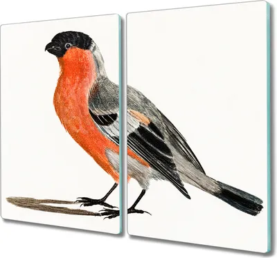 Produktbild von Coloray Herdabdeckplatte 2x30x52 cm Schneidebrett Kochplattenabdeckung Küchenbrett Hackbrett - Tier Vogel