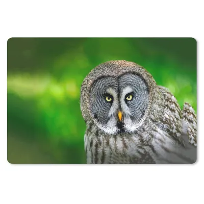 Produktbild von MuchoWow® Schreibtischunterlage Vogel - Eule - Tiere - Braun - Porträt 60x40 cm - XXL Mauspad - Großes Mauspad