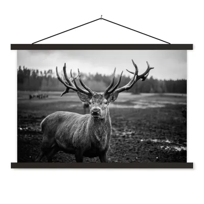 Produktbild von MuchoWow® Textilposter Tiere - Hirsch - Geweih - Schwarz und weiß - Natur 90x60 cm mit schwarzem Rahmen - Aufhängungssatz