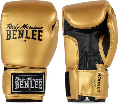 Image de Gants de boxe pour débutants RODNEY