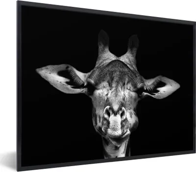 Produktbild von MuchoWow® Gerahmtes Poster Giraffe - Porträt - Tiere - Schwarz - Weiß 80x60 cm - Poster mit Schwarzem Bilderrahmen Wandposter Rahmen Foto Bilder - Schwarzem - Mit Gestell