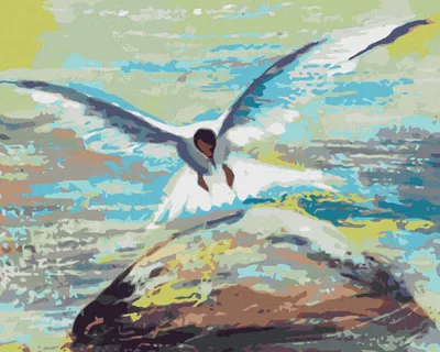 Image de Zuty - Peinture par numéros - RACEK VOLANT AU-DESSUS D'UN ROCHER, 40 x 50 cm, toile tendue sur châssis