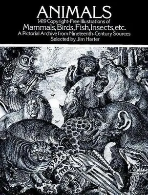 Zdjęcie produktu dla Animals