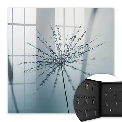 Produktbild von Metall Schlüsselkasten 30 x 30 cm - schwarzer Schlüsselschrank zur Wandmontage - wandhängende Schlüsselbox mit Tür - nach links öffnend - Schlüsselaufbewahrung für Flur - Büro - Arbeitszimmer - Werkstatt - Garage - Löwenzahn und Wassertropfen
