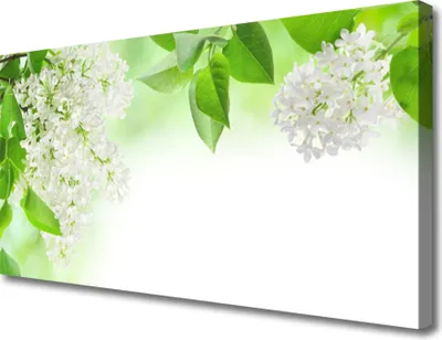 Produktbild von Tulup Leinwand-Bilder 100x50 Wandbild Canvas Kunstdruck Blumen Blätter Pflanzen