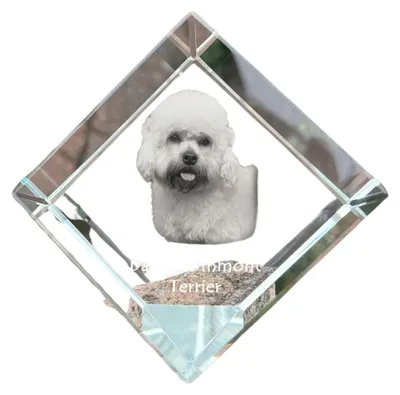 Immagine prodotto di Art-Dog Fermacarte – Dandie Dinmont Terrier