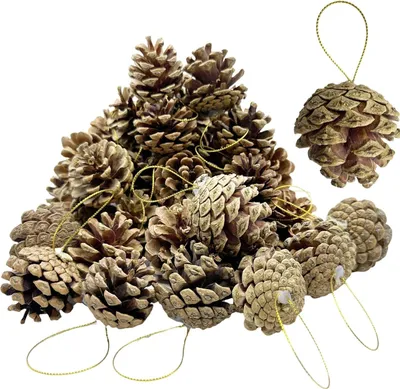 Productafbeelding van Kerst dennenappels decoratie met koord - Set van 30 - Natuurlijke rustieke dennenappels bulkornamenten