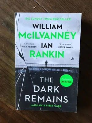 Image de The Dark Remains