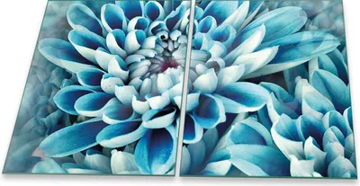 Produktbild von Herdabdeckplatten Glaskeramik Spritzschutz Glas Universal 2-Teilig 2x40x52 Blumen Blau