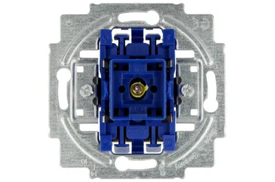 Produktbild von Busch-Jaeger 1012-0-1127, 2P, Blau, Grau, RoHS, CE, 250 V, 71 mm, 25 mm
